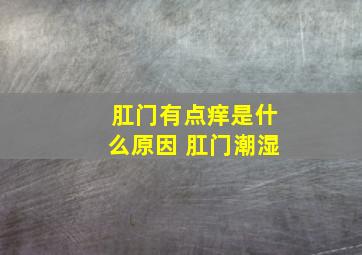 肛门有点痒是什么原因 肛门潮湿